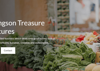 Ekongson Treasure Ventures